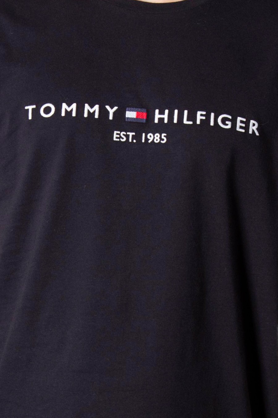 Uomo Tommy Hilfiger | T-Shirt Tommy Hilfiger Core Tommy Logo Tee Blu