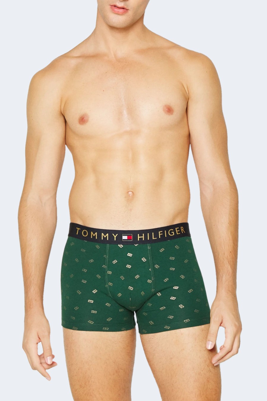 Uomo Tommy Hilfiger | Boxer Tommy Hilfiger Trunk & Sock Set Verde